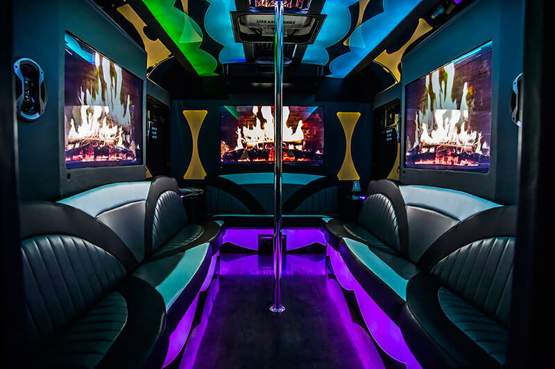 party bus 20 Passenger